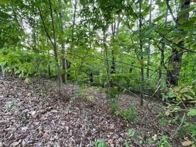 Amazing building lot with the long range mountain views you've on Mountain Harbour Golf Club in North Carolina - for sale on GolfHomes.com, golf home, golf lot