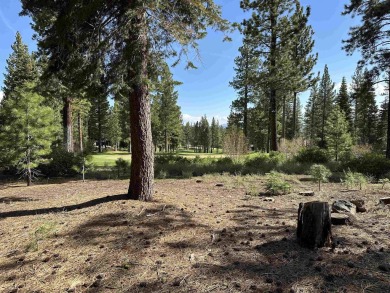 This stunning, sunny and private homesite located on the 4th on Lahontan Golf Club - Lahontan in California - for sale on GolfHomes.com, golf home, golf lot