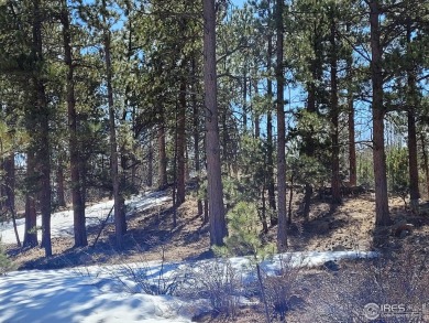 Magnificent Building Site in the Desirable, Unique Fox Acres on Fox Acres Country Club in Colorado - for sale on GolfHomes.com, golf home, golf lot