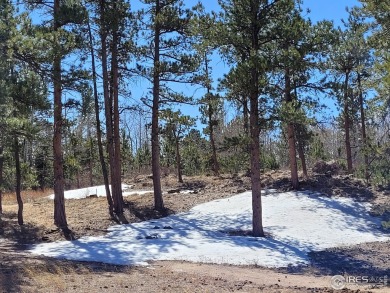 Magnificent Building Site in the Desirable, Unique Fox Acres on Fox Acres Country Club in Colorado - for sale on GolfHomes.com, golf home, golf lot