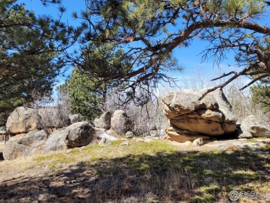 Magnificent Building Site in the Desirable, Unique Fox Acres on Fox Acres Country Club in Colorado - for sale on GolfHomes.com, golf home, golf lot