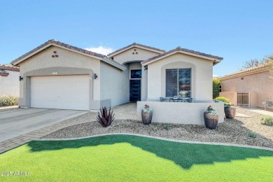 CUSTOM, CUSTOM, CUSTOM!!  This 3 bedroom home has been on Trilogy Golf Club At Power Ranch in Arizona - for sale on GolfHomes.com, golf home, golf lot