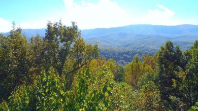Prime Building Lot with Mountain Views in Cobbly Nob! Discover on Bent Creek Golf Course in Tennessee - for sale on GolfHomes.com, golf home, golf lot