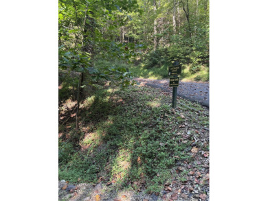 Prime Building Lot with Mountain Views in Cobbly Nob! Discover on Bent Creek Golf Course in Tennessee - for sale on GolfHomes.com, golf home, golf lot