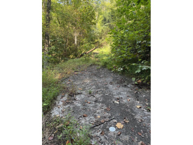Prime Building Lot with Mountain Views in Cobbly Nob! Discover on Bent Creek Golf Course in Tennessee - for sale on GolfHomes.com, golf home, golf lot