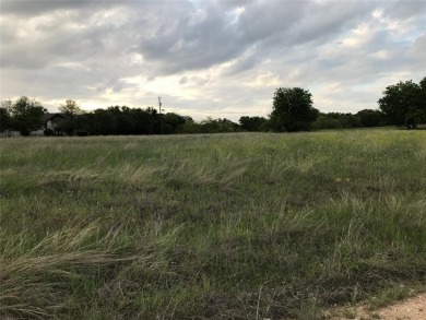 Quarter acre lot which has been cleared is located in 24-7 gated on White Bluff Resort - Old Course in Texas - for sale on GolfHomes.com, golf home, golf lot