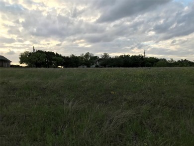 Quarter acre lot which has been cleared is located in 24-7 gated on White Bluff Resort - Old Course in Texas - for sale on GolfHomes.com, golf home, golf lot