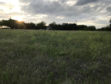 Quarter acre lot which has been cleared is located in 24-7 gated on White Bluff Resort - Old Course in Texas - for sale on GolfHomes.com, golf home, golf lot