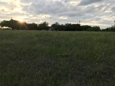 Quarter acre lot which has been cleared is located in 24-7 gated on White Bluff Resort - Old Course in Texas - for sale on GolfHomes.com, golf home, golf lot