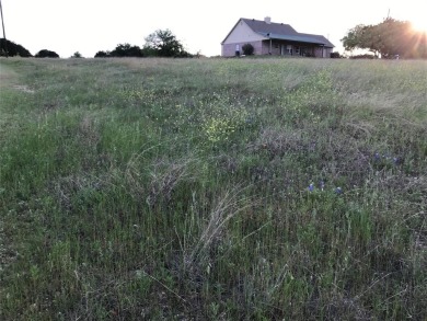 Quarter acre lot which has been cleared is located in 24-7 gated on White Bluff Resort - Old Course in Texas - for sale on GolfHomes.com, golf home, golf lot