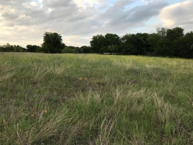 Quarter acre lot which has been cleared is located in 24-7 gated on White Bluff Resort - Old Course in Texas - for sale on GolfHomes.com, golf home, golf lot