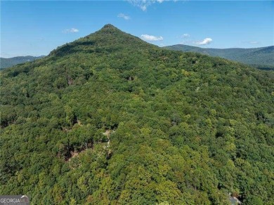 LEVEL .96 Acre homesite with east/west exposure is a rare find on Bent Tree Golf Course in Georgia - for sale on GolfHomes.com, golf home, golf lot