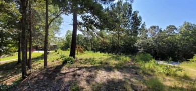 Welcome to 915 N Edgewater Trail-an exceptional homesite in the on Currahee Golf Club in Georgia - for sale on GolfHomes.com, golf home, golf lot