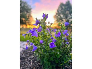 Backing to the 15th fairway with beautiful sunrise views, this on The Links At Dardenne in Missouri - for sale on GolfHomes.com, golf home, golf lot
