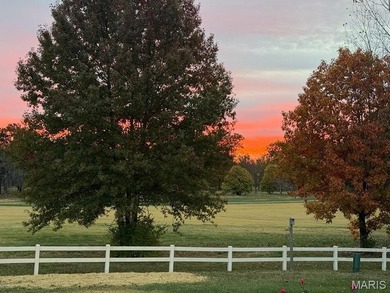 Backing to the 15th fairway with beautiful sunrise views, this on The Links At Dardenne in Missouri - for sale on GolfHomes.com, golf home, golf lot