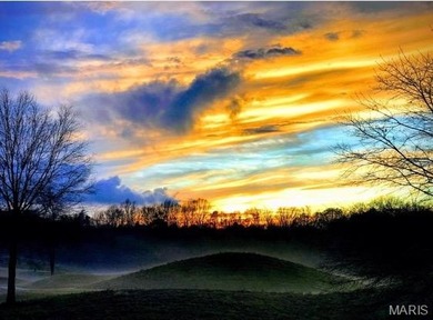 Backing to the 15th fairway with beautiful sunrise views, this on The Links At Dardenne in Missouri - for sale on GolfHomes.com, golf home, golf lot