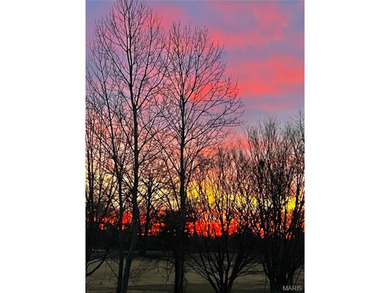 Backing to the 15th fairway with beautiful sunrise views, this on The Links At Dardenne in Missouri - for sale on GolfHomes.com, golf home, golf lot