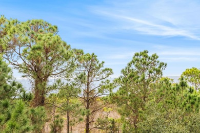 Experience breathtaking bay views and refined coastal luxury in on Sandestin Golf and Beach Resort - Raven in Florida - for sale on GolfHomes.com, golf home, golf lot