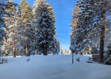 Perched along the second tee box of the Lake Almanor Country on Lake Almanor Country Club in California - for sale on GolfHomes.com, golf home, golf lot