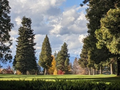 Perched along the second tee box of the Lake Almanor Country on Lake Almanor Country Club in California - for sale on GolfHomes.com, golf home, golf lot