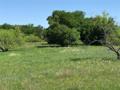Quarter acre lot located in 24-7 gated community located north on White Bluff Resort - Old Course in Texas - for sale on GolfHomes.com, golf home, golf lot