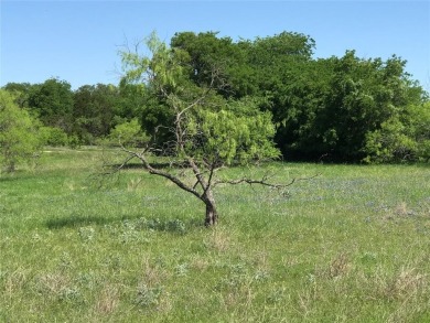 Quarter acre lot located in 24-7 gated community located north on White Bluff Resort - Old Course in Texas - for sale on GolfHomes.com, golf home, golf lot