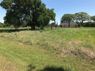 Corner lot located in 24-7 gated community located north on one on White Bluff Resort - Old Course in Texas - for sale on GolfHomes.com, golf home, golf lot