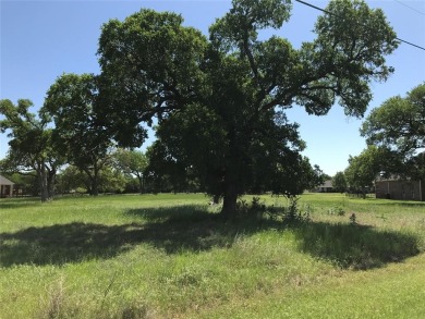 Corner lot located in 24-7 gated community located north on one on White Bluff Resort - Old Course in Texas - for sale on GolfHomes.com, golf home, golf lot