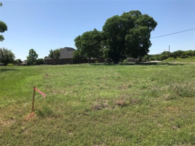 Corner lot located in 24-7 gated community located north on one on White Bluff Resort - Old Course in Texas - for sale on GolfHomes.com, golf home, golf lot