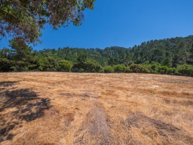 Welcome to your dream property! This sunny, private oasis offers on Tehama Golf Club in California - for sale on GolfHomes.com, golf home, golf lot