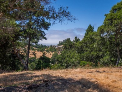 Welcome to your dream property! This sunny, private oasis offers on Tehama Golf Club in California - for sale on GolfHomes.com, golf home, golf lot