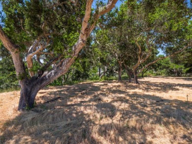 Welcome to your dream property! This sunny, private oasis offers on Tehama Golf Club in California - for sale on GolfHomes.com, golf home, golf lot