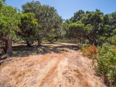 Welcome to your dream property! This sunny, private oasis offers on Tehama Golf Club in California - for sale on GolfHomes.com, golf home, golf lot