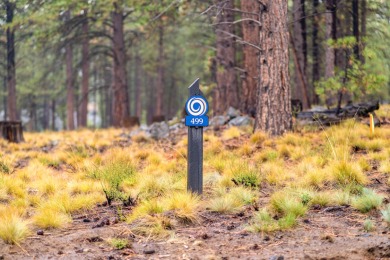 Discover the unmatched lifestyle of Caldera Springs with on Sunriver Caldera Springs Golf Course in Oregon - for sale on GolfHomes.com, golf home, golf lot