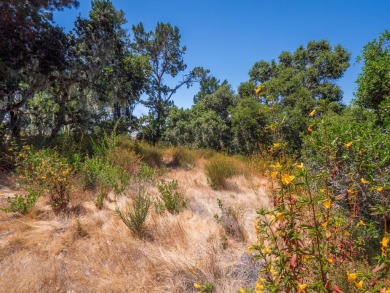 Welcome to your dream property! This sunny, private oasis offers on Tehama Golf Club in California - for sale on GolfHomes.com, golf home, golf lot