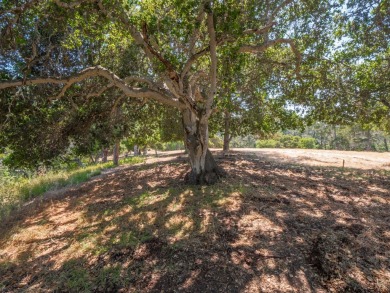 Welcome to your dream property! This sunny, private oasis offers on Tehama Golf Club in California - for sale on GolfHomes.com, golf home, golf lot