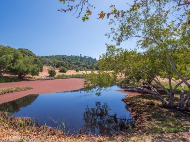 Welcome to your dream property! This sunny, private oasis offers on Tehama Golf Club in California - for sale on GolfHomes.com, golf home, golf lot