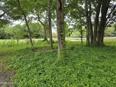 Location, Location, Location!   Build your dream home in on Brick Landing Plantation Yacht and Golf Club in North Carolina - for sale on GolfHomes.com, golf home, golf lot