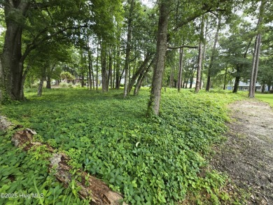 Location, Location, Location!   Build your dream home in on Brick Landing Plantation Yacht and Golf Club in North Carolina - for sale on GolfHomes.com, golf home, golf lot