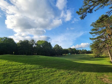 Immaculate golf course home with detached mother in law or guest on Mountain Ranch Golf Club in Arkansas - for sale on GolfHomes.com, golf home, golf lot