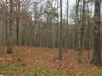Nestled in the mountains just minutes from Greenville, SC, make on The Cliffs Valley Golf Course in South Carolina - for sale on GolfHomes.com, golf home, golf lot