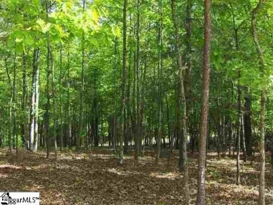 Nestled in the mountains just minutes from Greenville, SC, make on The Cliffs Valley Golf Course in South Carolina - for sale on GolfHomes.com, golf home, golf lot