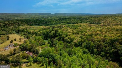 A unique property now offered for sale...This beautiful Southern on Trion Golf Club in Georgia - for sale on GolfHomes.com, golf home, golf lot