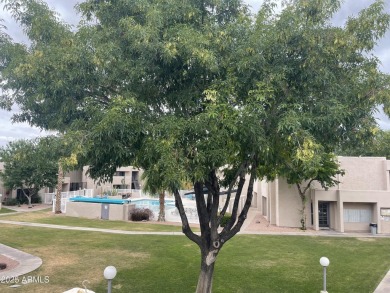Charming 2-Bedroom, 2-Bath Condo in Desirable Dobson Greens at on Dobson Ranch Municipal Golf Course in Arizona - for sale on GolfHomes.com, golf home, golf lot