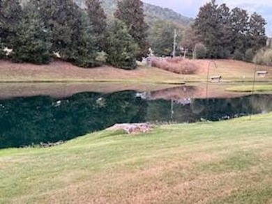 Charming 2BR/2BA  Brick  townhome in the Beautiful Black Creek on Black Creek Club in Tennessee - for sale on GolfHomes.com, golf home, golf lot