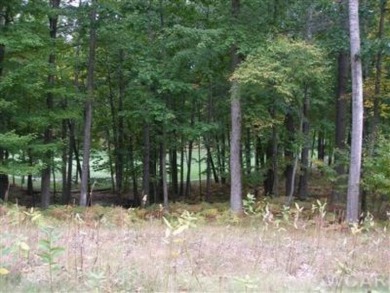 This is a gorgeous, large 1/2 acre lot with 117 feet of golf on St. Ives Golf Club in Michigan - for sale on GolfHomes.com, golf home, golf lot