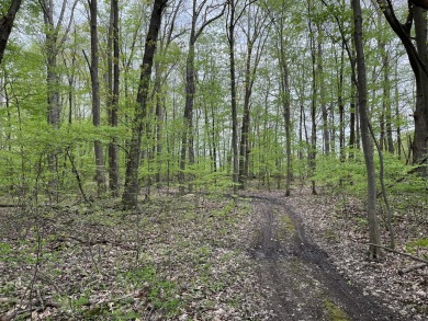 A full 4 acres of wooded land in Caledonia with Golf Course on Broadmoor Country Club in Michigan - for sale on GolfHomes.com, golf home, golf lot