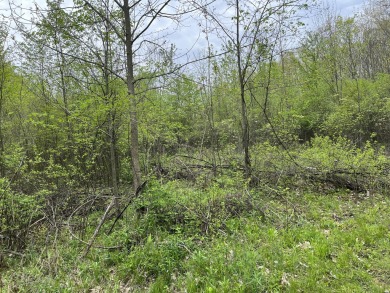 A full 4 acres of wooded land in Caledonia with Golf Course on Broadmoor Country Club in Michigan - for sale on GolfHomes.com, golf home, golf lot