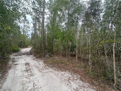 Great 0.36 acre private lot now available! Ask for detail about on Herons Glen Golf and Country Club in Florida - for sale on GolfHomes.com, golf home, golf lot