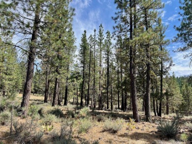 CATCH IT IF YOU CAN... This stunning lot on FOX RUN at NAKOMA! on Nakoma Golf Resort in California - for sale on GolfHomes.com, golf home, golf lot